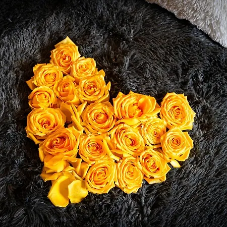 아파트 Bright Bohemian River 프라하