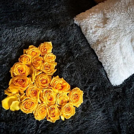 Bright Bohemian River * 프라하